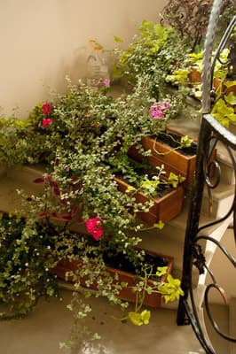 Відень (Зимняя Вода) 1