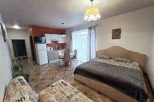 Апарт-отель Вилла Ирина. Студио трехместный  12