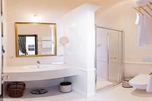 Отель Вилла Ле Премьер. Люкс двухместный с террасой 3