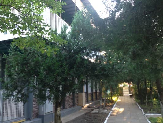 Villa Milla на Лазурной 1