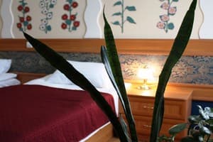 Отель Волтер. Делюкс двухместный  2