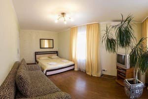 Квартира Возле метро рядом с центром. Стандарт трехместный  7