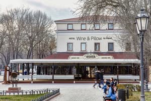 Отель Wine&Pillow Hotel by Frapolli