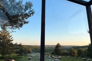 Коттедж Woodland_escape. Коттедж двухместный Panorama lodge 5