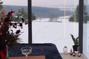 Коттедж Woodland_escape. Коттедж двухместный Panorama lodge 7