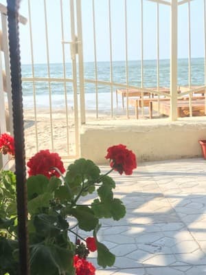 Апарт-отель Янка