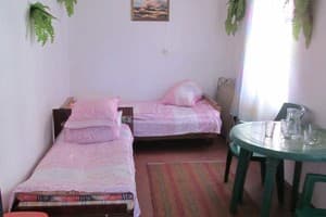 Мини-отель Южанка 111. Эконом трехместный Отдельный дачный домик 1