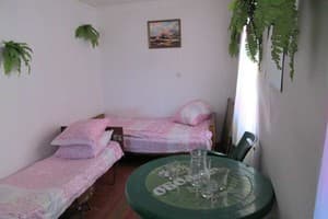 Мини-отель Южанка 111. Эконом трехместный Отдельный дачный домик 3