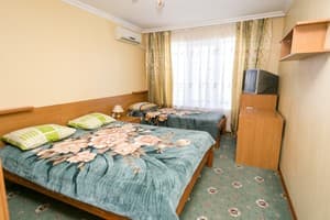 Мини-отель Южанка 88. Люкс повышенного комфорта трехместный 1