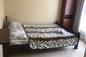 Мини-отель Южанка 88. Стандарт  двухместный 2