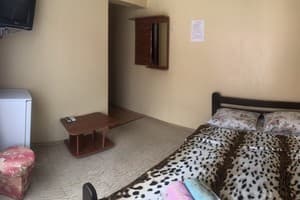 Мини-отель Южанка 88. Стандарт  двухместный 4