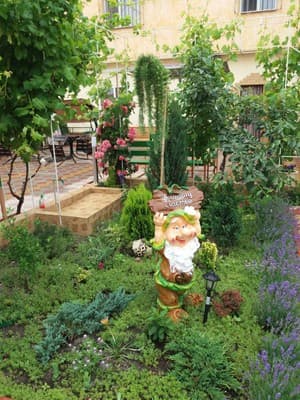 Южный берег 8