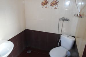 Мини-отель Южный берег. Люкс трехместный без балкона 6