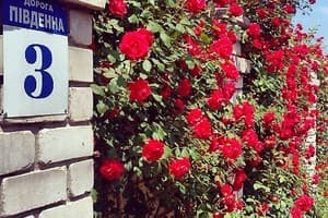 Южный дворик 13