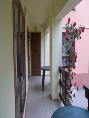 Зеленый дворик 7