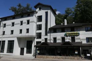 Отель Золотой лимон