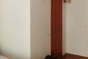 Апарт-отель Зонтаг. Классик двухместный  2