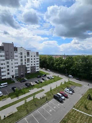 на Миколаївській 12