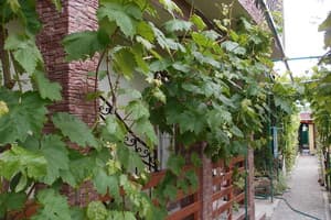 Гостиный двор по ул. Лиманская, 11. Стандарт трехместный  17