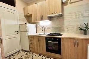 Квартира в центре, возле Медицинского университета. Апартаменты трехместный  5